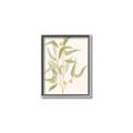 Picture of Botanical Strand I _GroupedProduct_Rectangle_Portrait_Canvas_Framed_