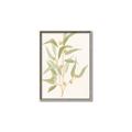 Picture of Botanical Strand I _GroupedProduct_Rectangle_Portrait_Canvas_Framed_