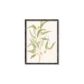 Picture of Botanical Strand I _GroupedProduct_Rectangle_Portrait_Canvas_Framed_
