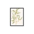 Picture of Botanical Strand I _GroupedProduct_Rectangle_Portrait_Canvas_Framed_