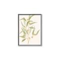 Picture of Botanical Strand I _GroupedProduct_Rectangle_Portrait_Canvas_Framed_