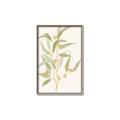 Picture of Botanical Strand I _GroupedProduct_Rectangle_Portrait_Canvas_Framed_