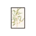 Picture of Botanical Strand I _GroupedProduct_Rectangle_Portrait_Canvas_Framed_