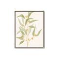 Picture of Botanical Strand I _GroupedProduct_Rectangle_Portrait_Canvas_Framed_