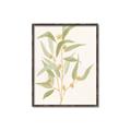 Picture of Botanical Strand I _GroupedProduct_Rectangle_Portrait_Canvas_Framed_