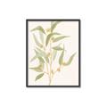Picture of Botanical Strand I _GroupedProduct_Rectangle_Portrait_Canvas_Framed_