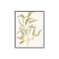 Picture of Botanical Strand I _GroupedProduct_Rectangle_Portrait_Canvas_Framed_