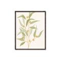 Picture of Botanical Strand I _GroupedProduct_Rectangle_Portrait_Canvas_Framed_