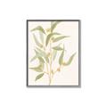 Picture of Botanical Strand I _GroupedProduct_Rectangle_Portrait_Canvas_Framed_