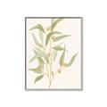 Picture of Botanical Strand I _GroupedProduct_Rectangle_Portrait_Canvas_Framed_