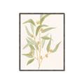 Picture of Botanical Strand I _GroupedProduct_Rectangle_Portrait_Canvas_Framed_