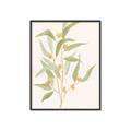 Picture of Botanical Strand I _GroupedProduct_Rectangle_Portrait_Canvas_Framed_