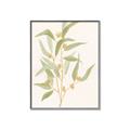Picture of Botanical Strand I _GroupedProduct_Rectangle_Portrait_Canvas_Framed_