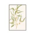 Picture of Botanical Strand I _GroupedProduct_Rectangle_Portrait_Canvas_Framed_