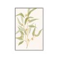 Picture of Botanical Strand I _GroupedProduct_Rectangle_Portrait_Canvas_Framed_