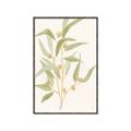 Picture of Botanical Strand I _GroupedProduct_Rectangle_Portrait_Canvas_Framed_