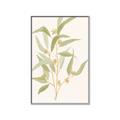 Picture of Botanical Strand I _GroupedProduct_Rectangle_Portrait_Canvas_Framed_