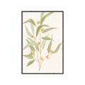 Picture of Botanical Strand I _GroupedProduct_Rectangle_Portrait_Canvas_Framed_