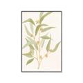 Picture of Botanical Strand I _GroupedProduct_Rectangle_Portrait_Canvas_Framed_