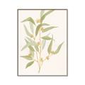 Picture of Botanical Strand I _GroupedProduct_Rectangle_Portrait_Canvas_Framed_