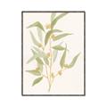 Picture of Botanical Strand I _GroupedProduct_Rectangle_Portrait_Canvas_Framed_