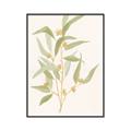Picture of Botanical Strand I _GroupedProduct_Rectangle_Portrait_Canvas_Framed_