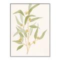 Picture of Botanical Strand I _GroupedProduct_Rectangle_Portrait_Canvas_Framed_