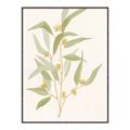 Picture of Botanical Strand I _GroupedProduct_Rectangle_Portrait_Canvas_Framed_