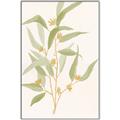 Picture of Botanical Strand I _GroupedProduct_Rectangle_Portrait_Canvas_Framed_