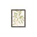 Picture of Botanical Strand II _GroupedProduct_Rectangle_Portrait_Canvas_Framed_