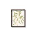 Picture of Botanical Strand II _GroupedProduct_Rectangle_Portrait_Canvas_Framed_