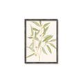 Picture of Botanical Strand II _GroupedProduct_Rectangle_Portrait_Canvas_Framed_