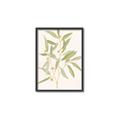 Picture of Botanical Strand II _GroupedProduct_Rectangle_Portrait_Canvas_Framed_