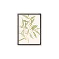 Picture of Botanical Strand II _GroupedProduct_Rectangle_Portrait_Canvas_Framed_