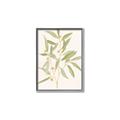 Picture of Botanical Strand II _GroupedProduct_Rectangle_Portrait_Canvas_Framed_