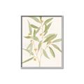 Picture of Botanical Strand II _GroupedProduct_Rectangle_Portrait_Canvas_Framed_