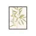 Picture of Botanical Strand II _GroupedProduct_Rectangle_Portrait_Canvas_Framed_
