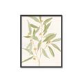 Picture of Botanical Strand II _GroupedProduct_Rectangle_Portrait_Canvas_Framed_