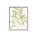 Picture of Botanical Strand II _GroupedProduct_Rectangle_Portrait_Canvas_Framed_
