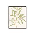 Picture of Botanical Strand II _GroupedProduct_Rectangle_Portrait_Canvas_Framed_