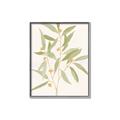 Picture of Botanical Strand II _GroupedProduct_Rectangle_Portrait_Canvas_Framed_
