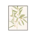 Picture of Botanical Strand II _GroupedProduct_Rectangle_Portrait_Canvas_Framed_