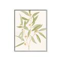 Picture of Botanical Strand II _GroupedProduct_Rectangle_Portrait_Canvas_Framed_