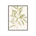 Picture of Botanical Strand II _GroupedProduct_Rectangle_Portrait_Canvas_Framed_