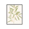 Picture of Botanical Strand II _GroupedProduct_Rectangle_Portrait_Canvas_Framed_