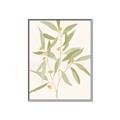 Picture of Botanical Strand II _GroupedProduct_Rectangle_Portrait_Canvas_Framed_