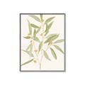 Picture of Botanical Strand II _GroupedProduct_Rectangle_Portrait_Canvas_Framed_