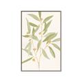 Picture of Botanical Strand II _GroupedProduct_Rectangle_Portrait_Canvas_Framed_