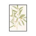 Picture of Botanical Strand II _GroupedProduct_Rectangle_Portrait_Canvas_Framed_