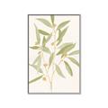 Picture of Botanical Strand II _GroupedProduct_Rectangle_Portrait_Canvas_Framed_